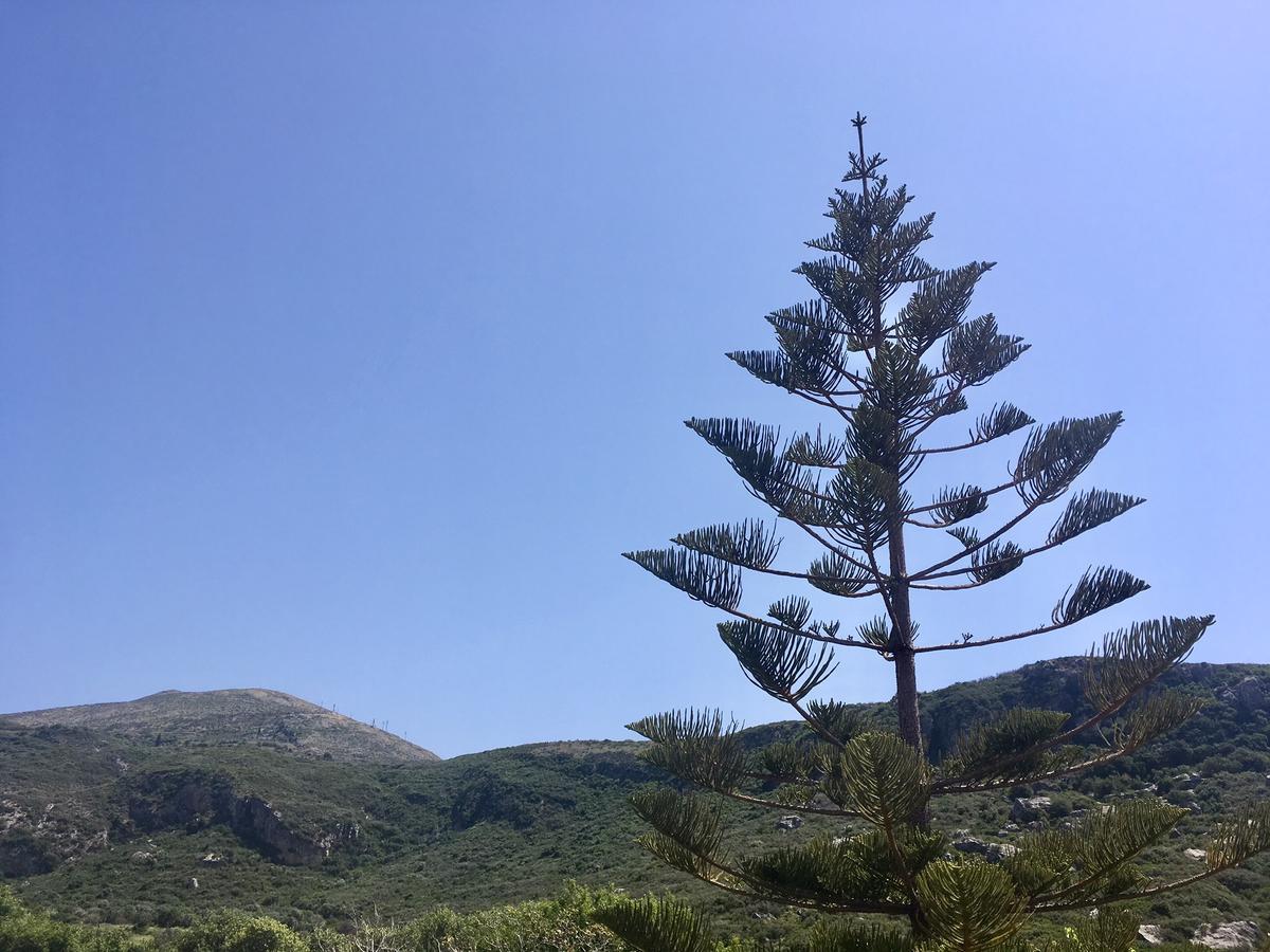 Alegria Kefalonia 凯特利奥斯 外观 照片